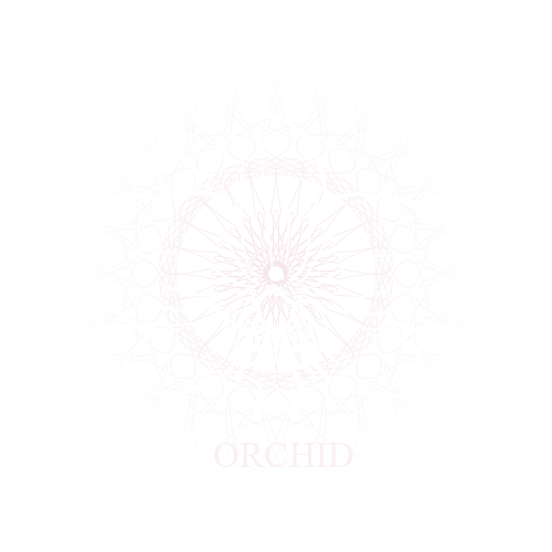 Orchid
